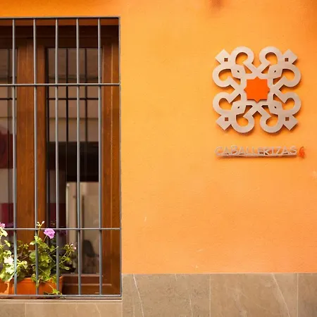 Caballerizas Con Parking Gratuito En Pleno Centro Apartment *