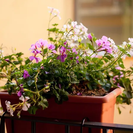 Apartamentos Caballerizas Granada Con Parking Gratuito En Pleno Centro Granada